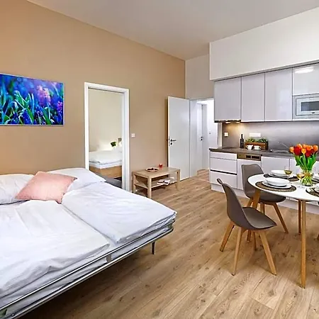 Aparthotel Downtown Jugoslavska 4*