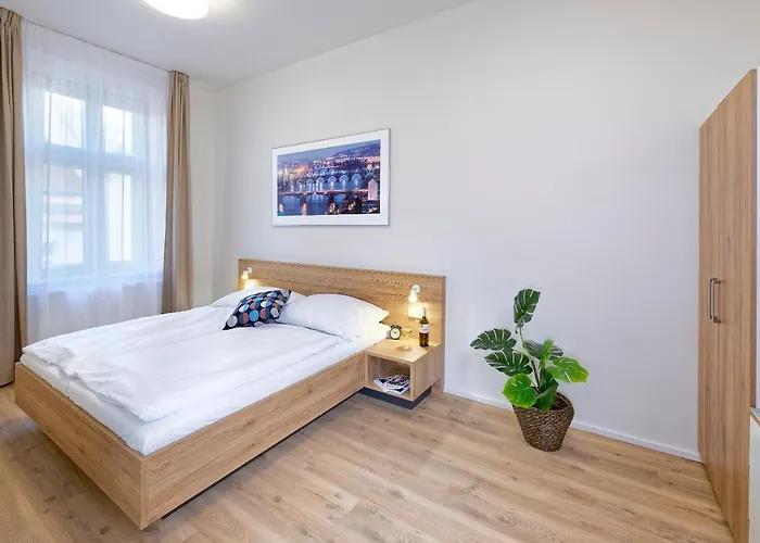 Lägenhetshotell Downtown Jugoslavska Prag