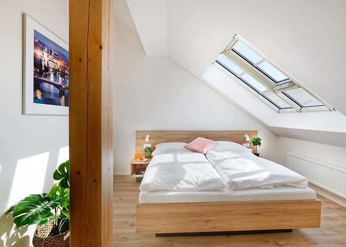 Lägenhetshotell Downtown Jugoslavska Prag